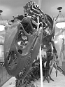 Kids-NYC_AMNH_3-2014 (56)